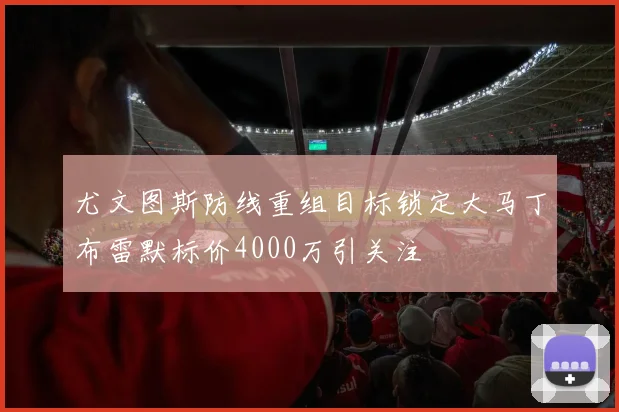 尤文图斯防线重组目标锁定大马丁布雷默标价4000万引关注