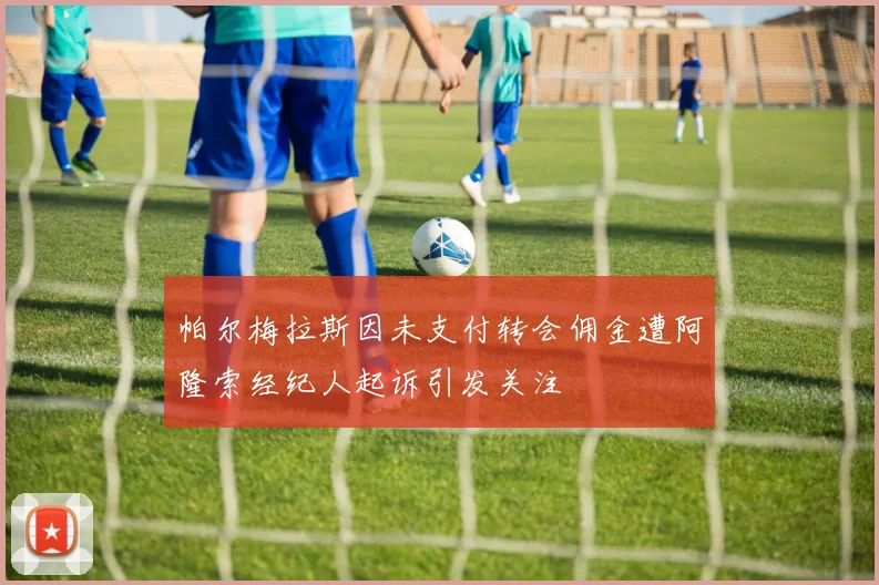 帕尔梅拉斯因未支付转会佣金遭阿隆索经纪人起诉引发关注