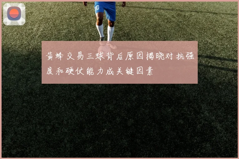 黄蜂交易三球背后原因揭晓对抗强度和硬仗能力成关键因素